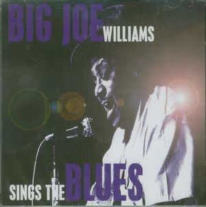 Big Joe Williams Sings The Blues