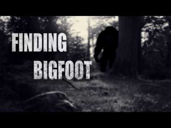 Finding Bigfoot