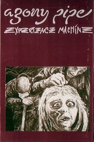 Experience Machine