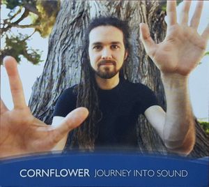 Journey Into Sound