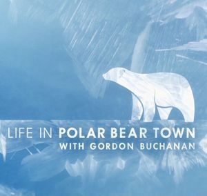 Life in Polar Bear Town