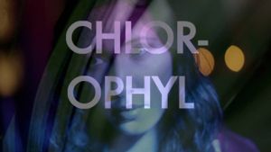 Chlorophyl