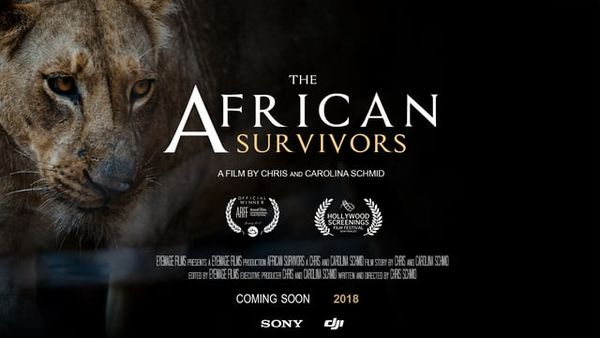 The African Survivors