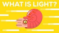 What Is Light?