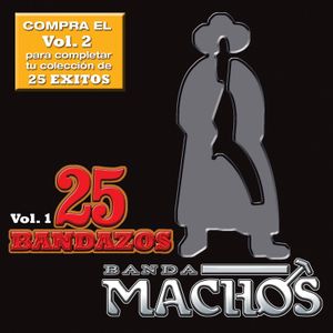 25 bandazos: Banda Machos, vol. 1