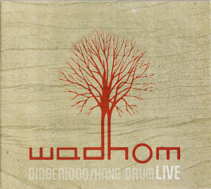 Didgeridoo : Hang Drum (Live)