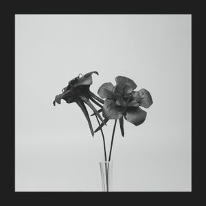 Dark Lotus (Single)