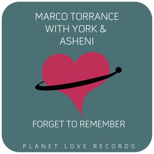 Forget To Remember (Single)