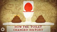 How The Toilet Changed History