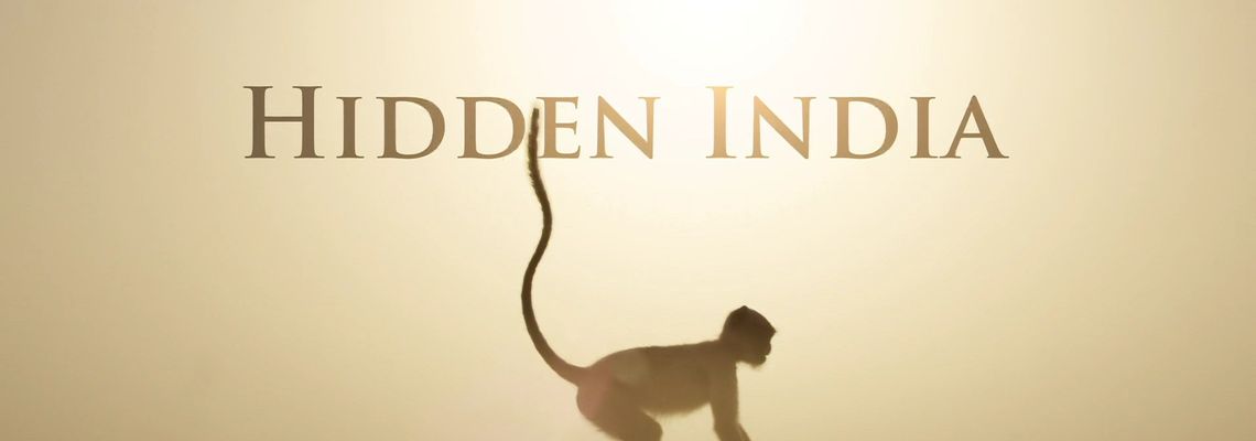 Cover Hidden India