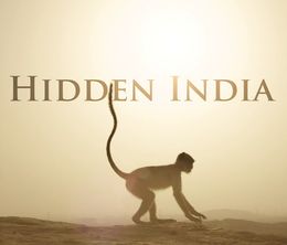 image-https://media.senscritique.com/media/000016832983/0/Hidden_India.jpg