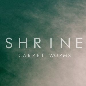 Carpet Worms (Single)
