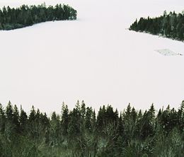 image-https://media.senscritique.com/media/000016838423/0/algonquin_park_early_march.jpg