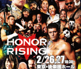 image-https://media.senscritique.com/media/000016841502/0/njpw_honor_rising_2017_day_1_and_2.png