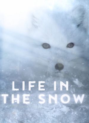 Life in the Snow