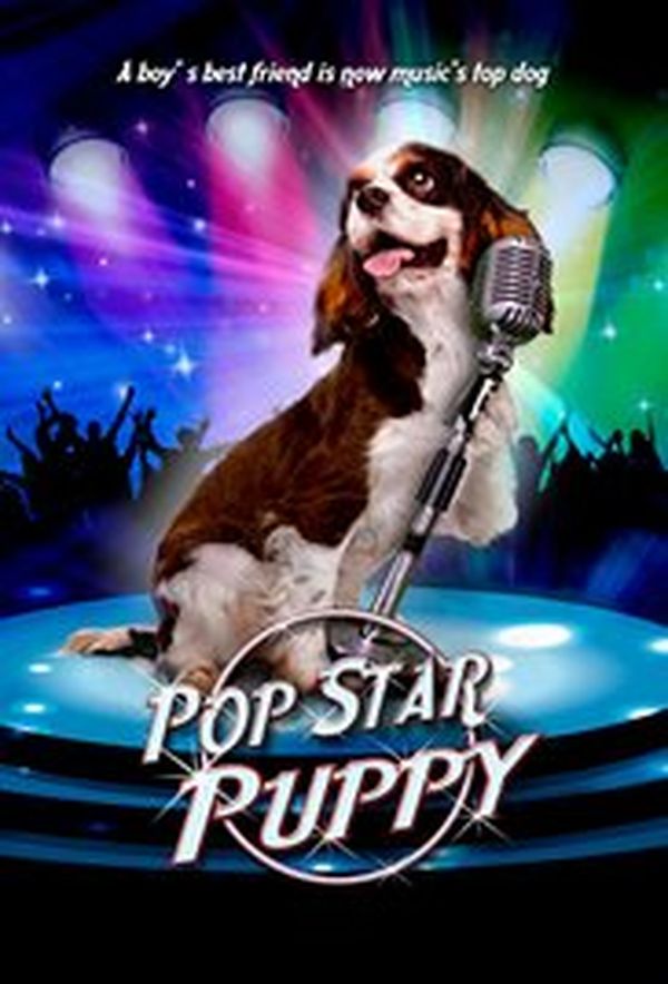 pop star puppy