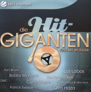 Die Hit-Giganten: One-Hit Wonder