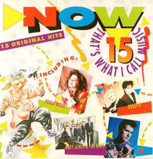 Now that's What I call Music 15 - 1991