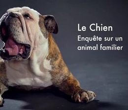 image-https://media.senscritique.com/media/000016863216/0/le_chien_enquete_sur_un_animal_familier.jpg