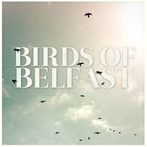 Birds of Belfast (Single)