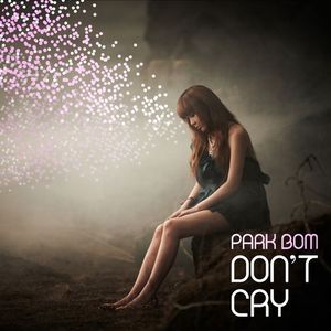 Don’t Cry (Single)