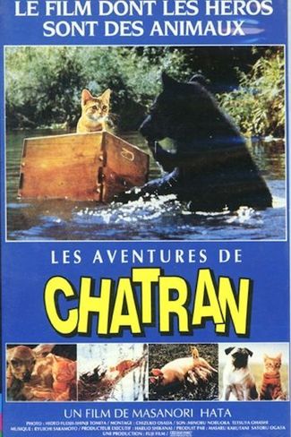 J Ai Vu Un Chat Roux Liste De 29 Films Senscritique