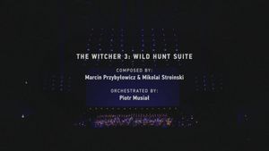 The Witcher 3: Wild Hunt Live concert