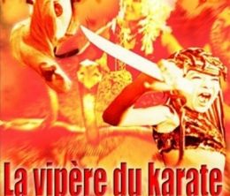 image-https://media.senscritique.com/media/000016874326/0/la_vipere_du_karate.jpg