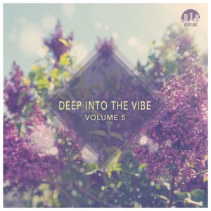 Deep Into the Vibe, Volume 5