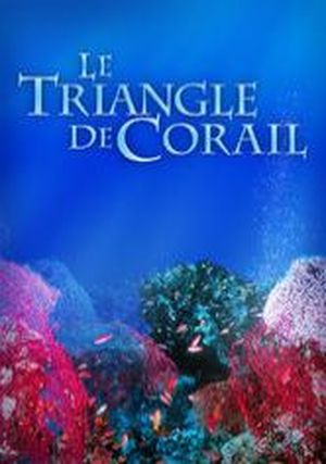 Le triangle de corail