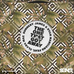 The One That Got Away (Single)