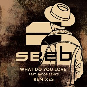 What Do You Love (remixes)