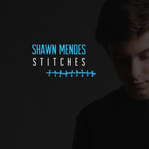 Stitches (Single)