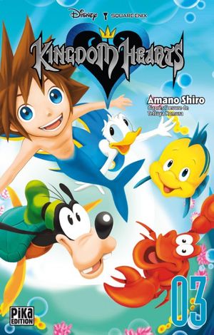 Kingdom Hearts, tome 3