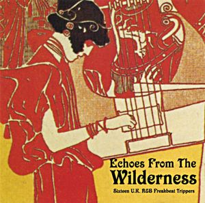 Echoes From the Wilderness: Sixteen U.K. R&B Freakbeat Trippers