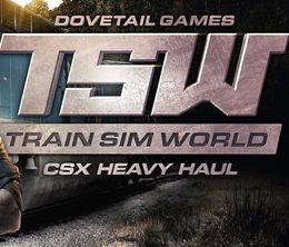 image-https://media.senscritique.com/media/000016892302/0/Train_Sim_World_CSX_Heavy_Haul.jpg