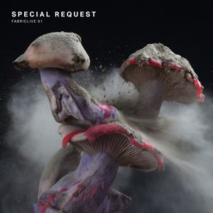 FabricLive.91
