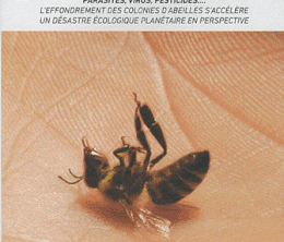 image-https://media.senscritique.com/media/000016907574/0/le_mystere_de_la_disparition_des_abeilles.gif