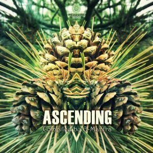Ascending (Live Version)