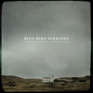 Schein matt / Hineingeträumt (Single)