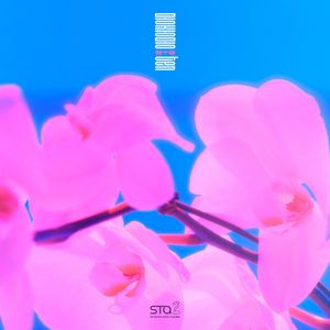 夢中夢 (몽중몽; Dream in a Dream) (Single)