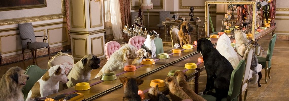 Cover Palace pour chiens