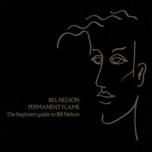 Permanent Flame (The Beginners Guide to Bill Nelson)