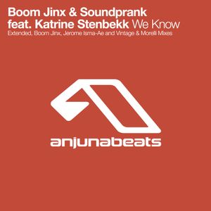 We Know (Boom Jinx remix)