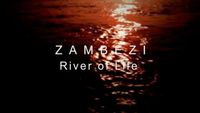 Zambezi River of Life