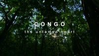 Congo the Untamed Heart