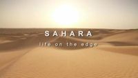 Sahara Life on the Edge