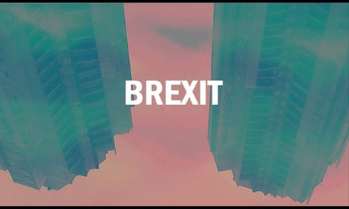 Cover Requin Chagrin