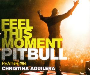 Feel This Moment (Single)