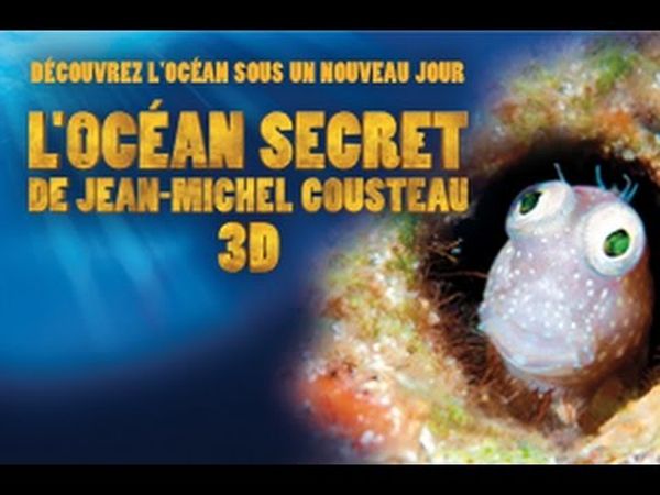 L'Océan secret